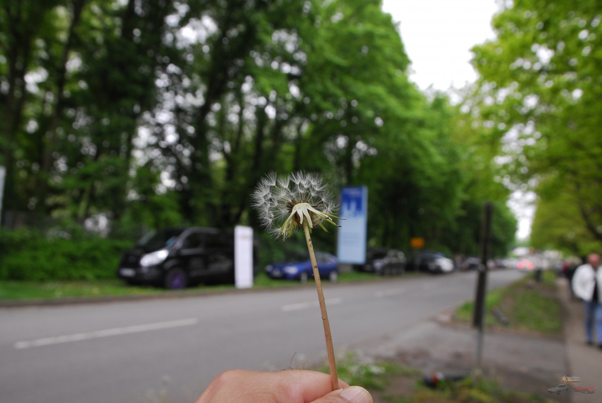 Corvette_Sunday_2022_Chris (104).JPG